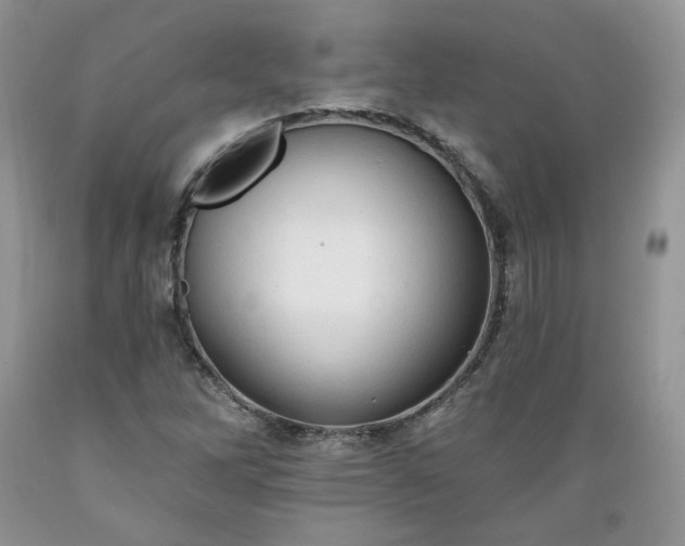 X0000089381262200706221246