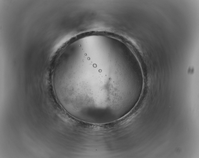 X0000089381263200706221246