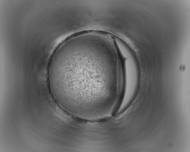 X0000089381264200706221246