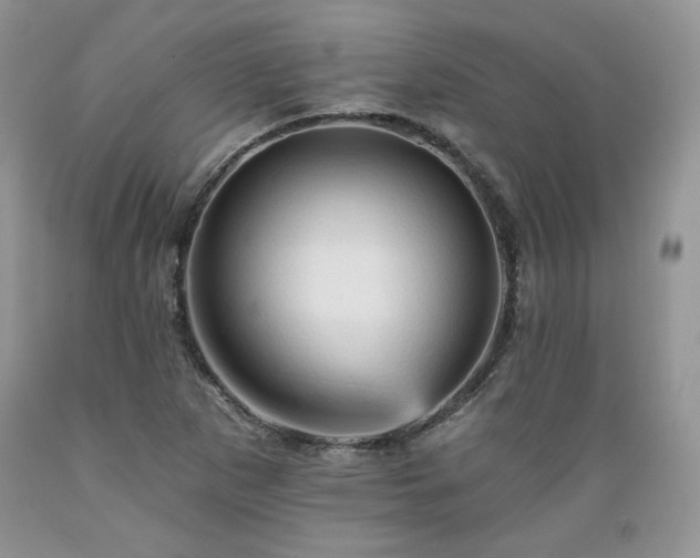 X0000089381265200706221246