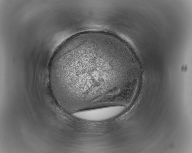 X0000089381267200706221246
