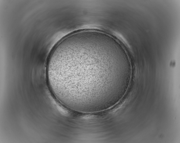 X0000089381268200706221246