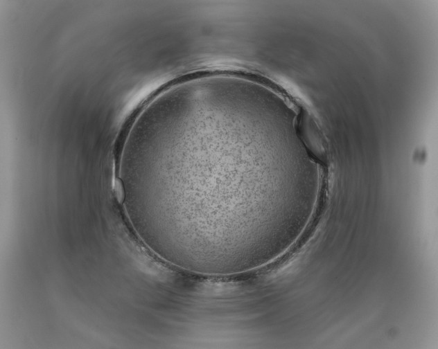 X0000089381269200706221246