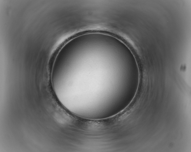 X0000089381270200706221246
