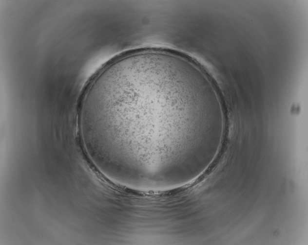 X0000089381271200706221246