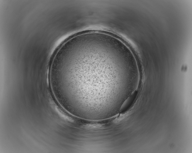 X0000089381272200706221245