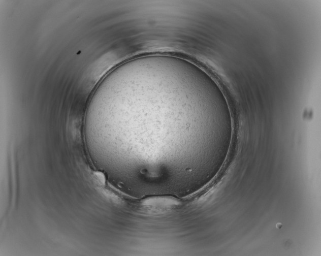 X0000089381273200706221245