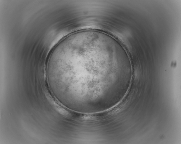 X0000089381274200706221245