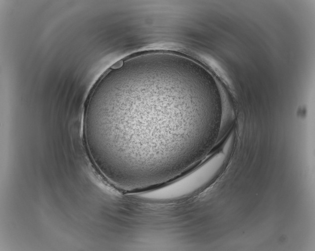 X0000089381276200706221245