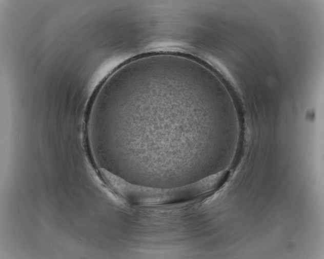 X0000089381277200706221245