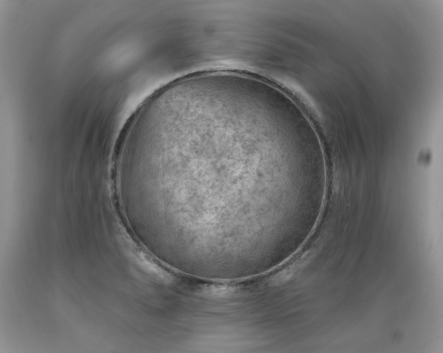 X0000089381278200706221245