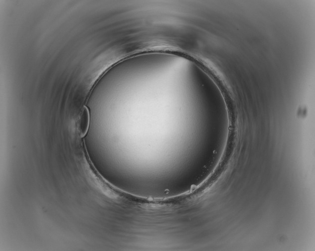 X0000089381281200706221245