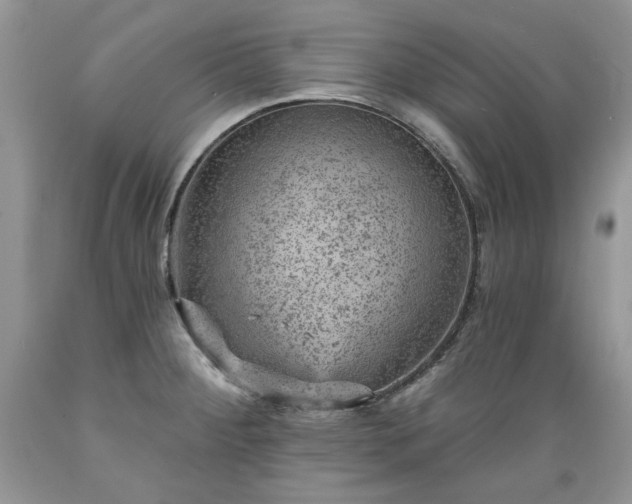 X0000089381284200706221245