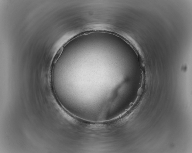 X0000089381285200706221245