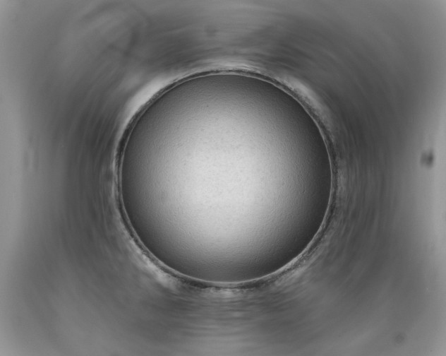 X0000089381286200706221245