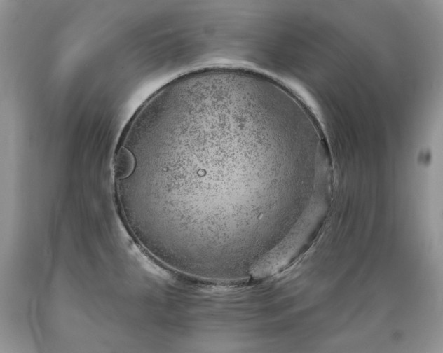 X0000089381287200706221245