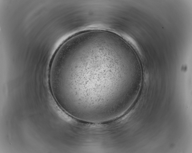X0000089381288200706221245