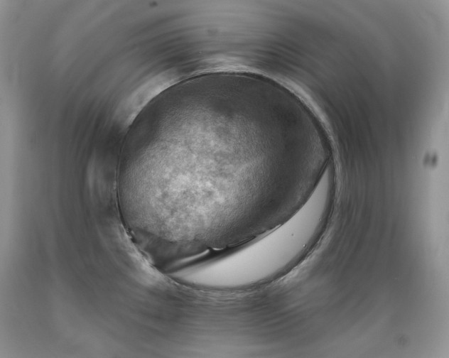 X0000089381289200706221245
