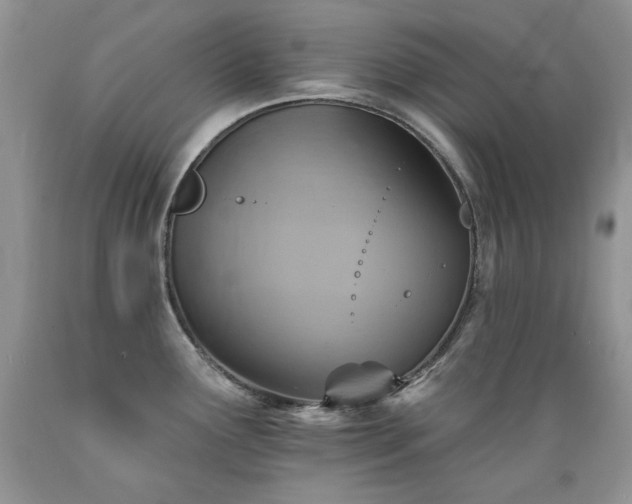 X0000089381291200706221245