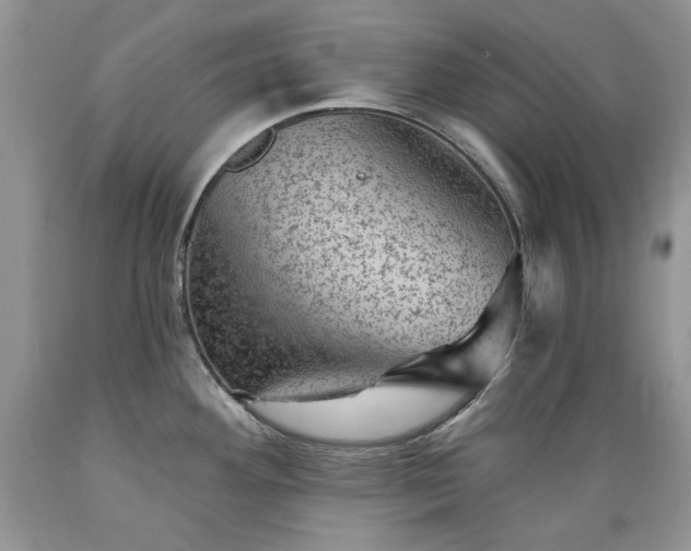 X0000089381292200706221245