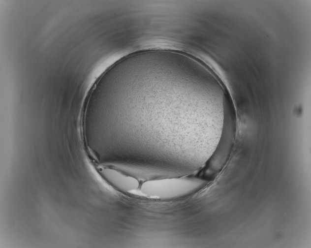 X0000089381293200706221245