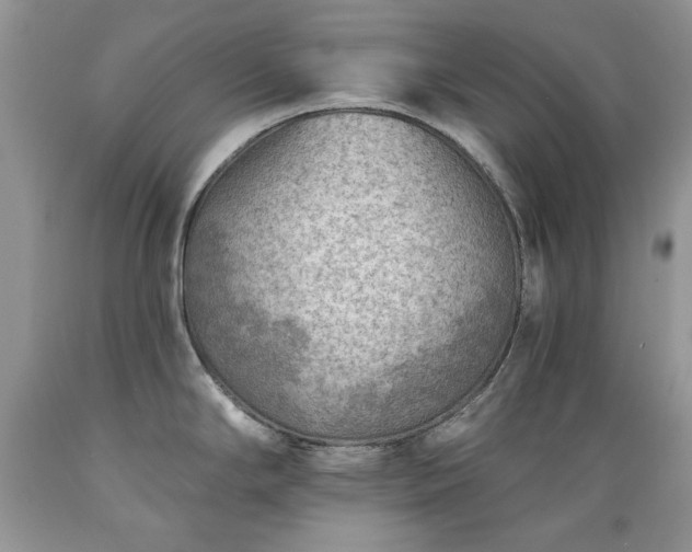 X0000089381294200706221245
