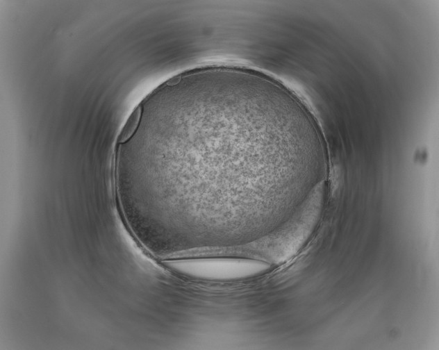 X0000089381295200706221245