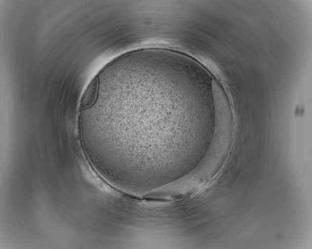 X0000089381296200706221245