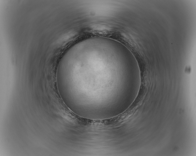X0000089381297200706221244