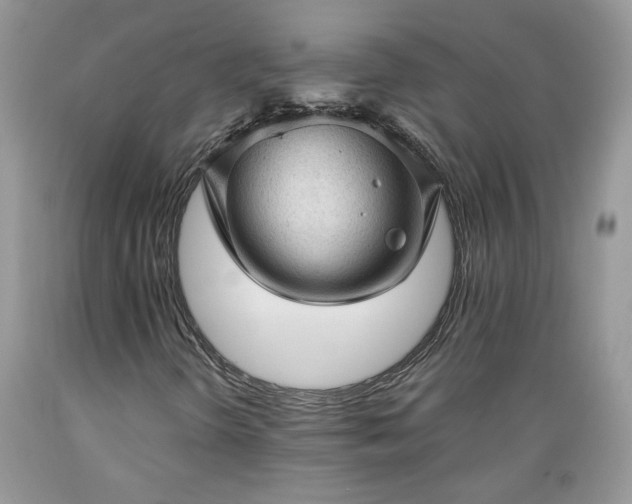 X0000089381298200706221244