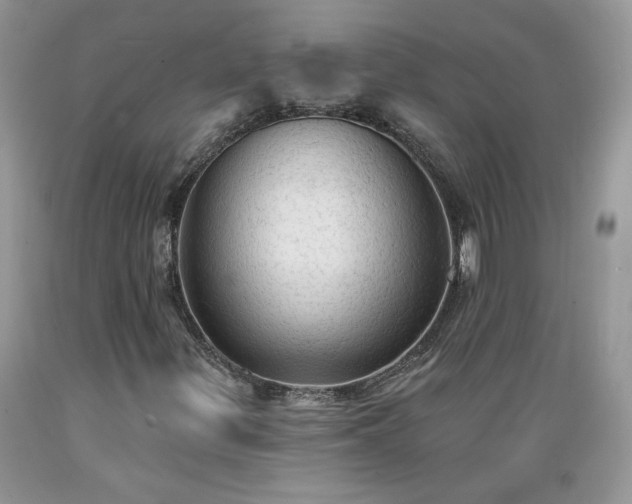 X0000089381299200706221244