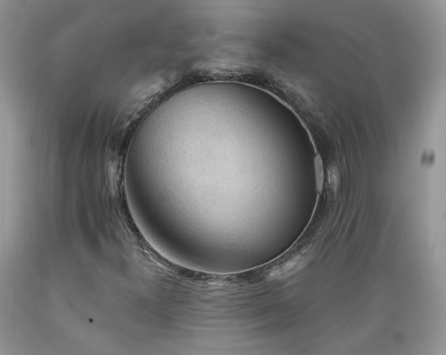 X0000089381300200706221244