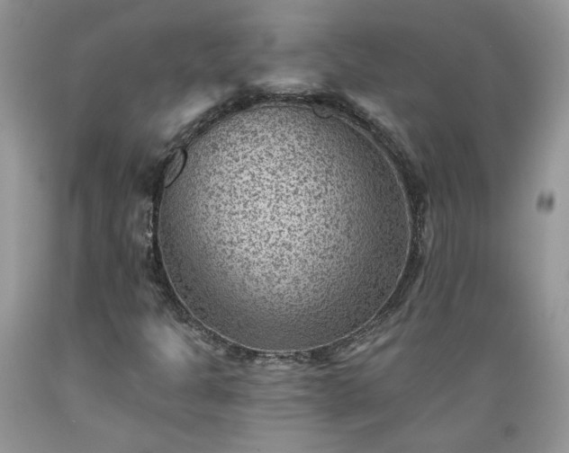 X0000089381301200706221244