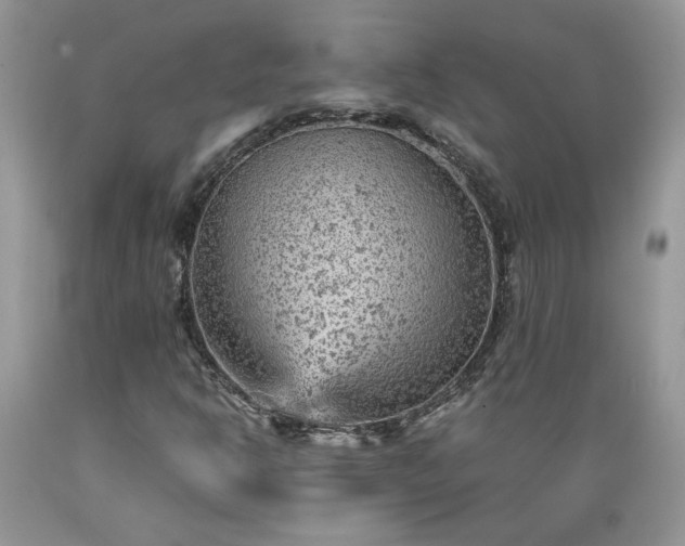 X0000089381302200706221244