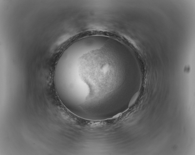 X0000089381303200706221244