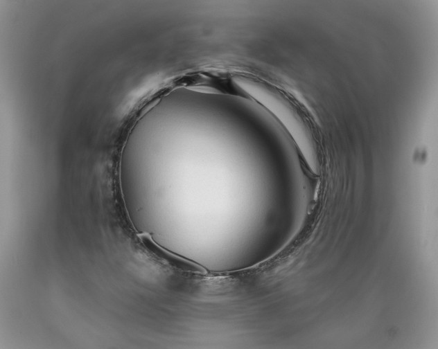 X0000089381304200706221244