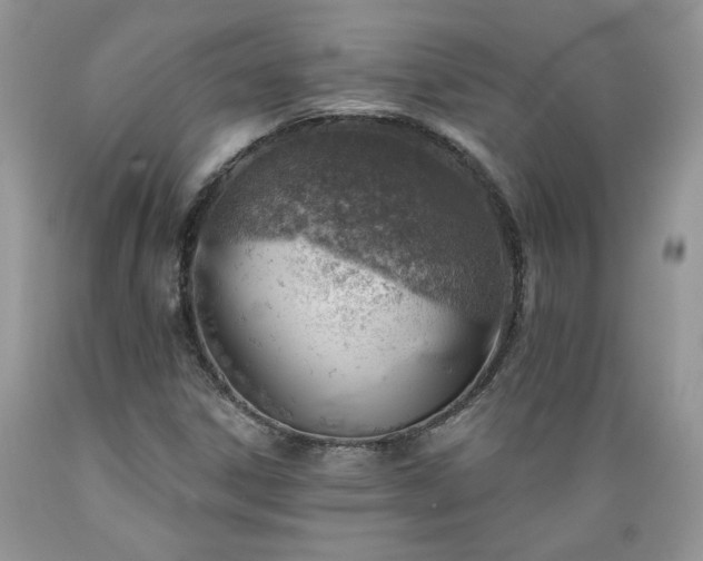 X0000089381306200706221244