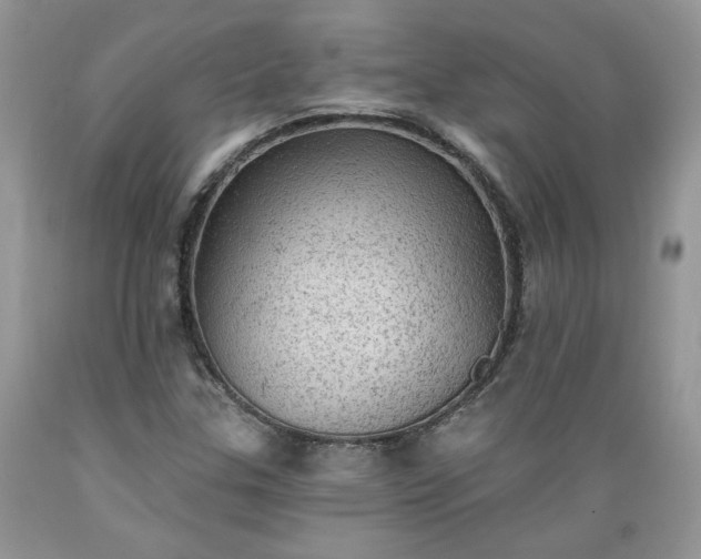 X0000089381307200706221244