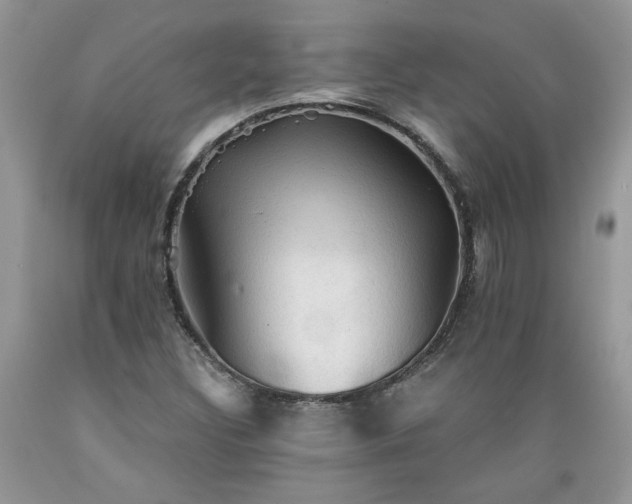 X0000089381308200706221244