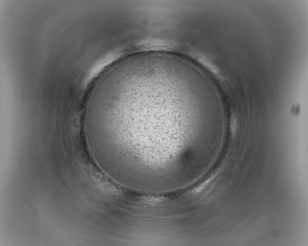 X0000089381309200706221244