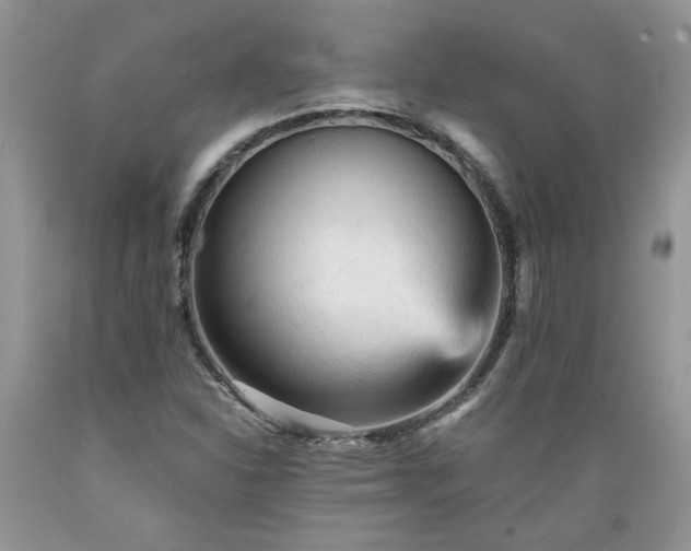 X0000089381310200706221245