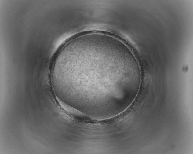 X0000089381312200706221245