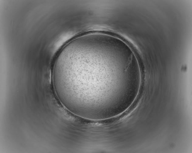 X0000089381317200706221245