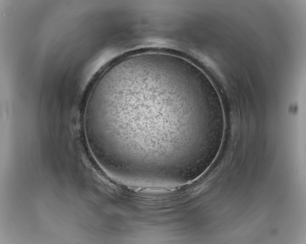 X0000089381318200706221245