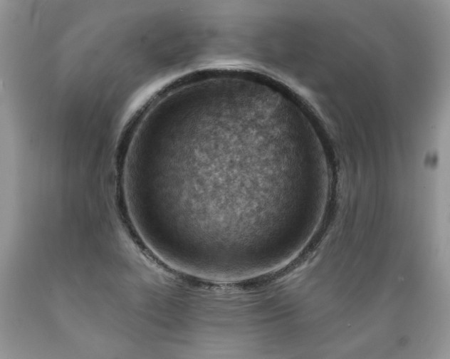 X0000089381319200706221245