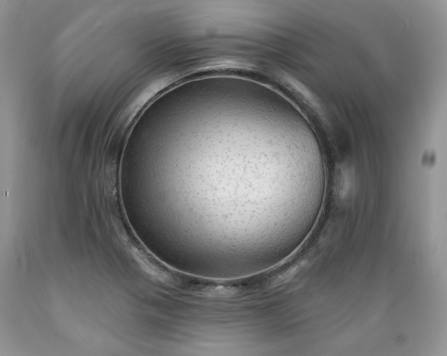X0000089381321200706221245
