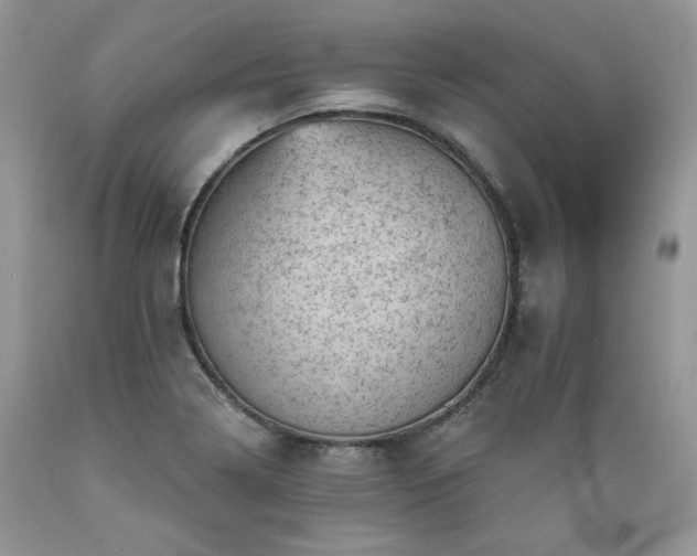 X0000089381322200706221245