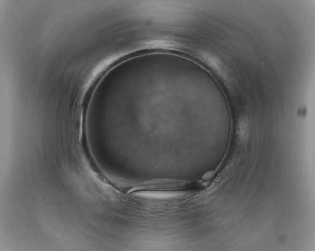 X0000089381323200706221245