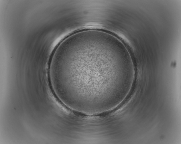 X0000089381325200706221245