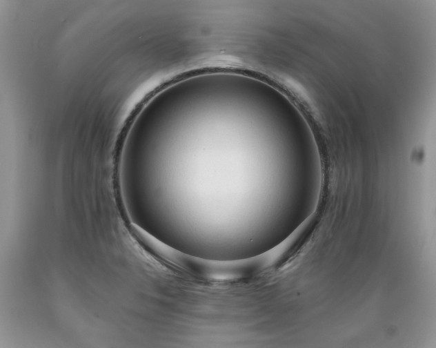 X0000089381326200706221245